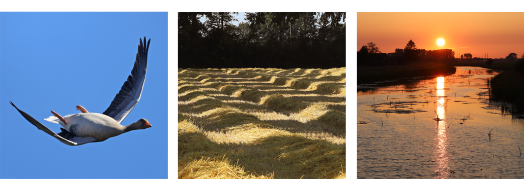 fotografie-langs-de-grens